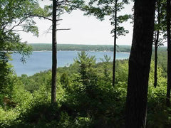Print of Ellison Bay in Summer